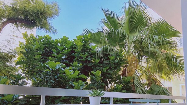 A balcony with a white railing, a small round table, and a metal folding chair. There are various green plants and a palm tree in the background. - 97 LIM - Stay Vital Elegance Apartment (Limassol)