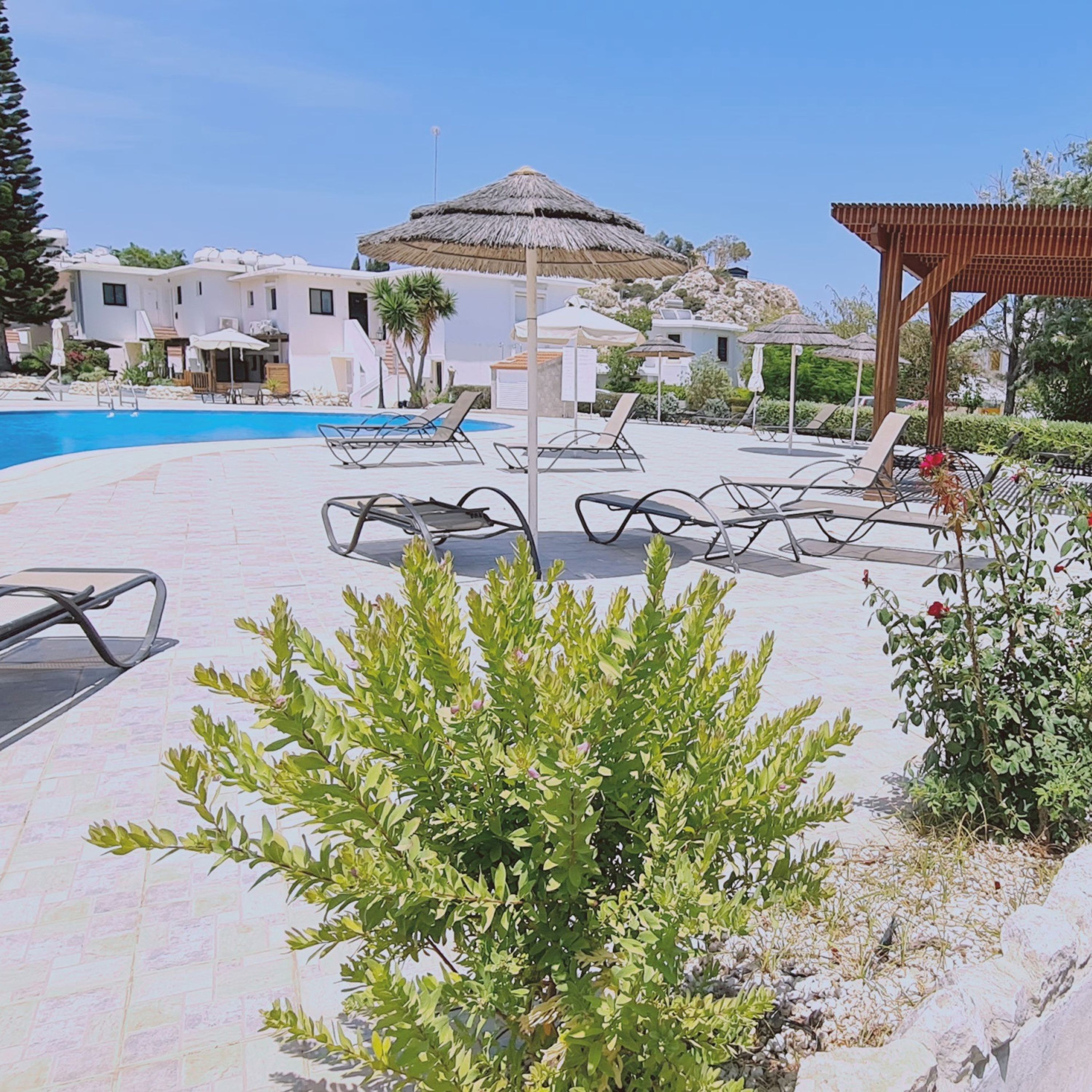 Un área junto a la piscina con sillones de descanso, un edificio pequeño con techo de paja y una pérgola de madera.
