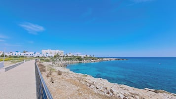 1 habitación y sistema de insonorización