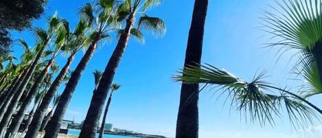 Studio | Soundproofing