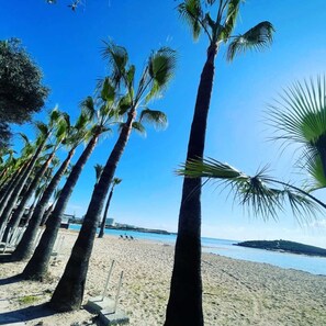 Una playa con altas palmeras y un cielo azul despejado.