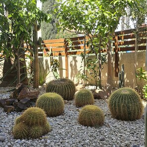 A garden with several spherical cacti and a wooden fence in the background. - 122 VOR - Stay Cactus House (Oroklini)