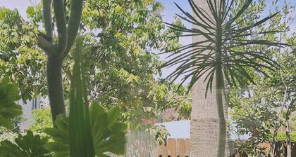 122 VOR - Stay Cactus House