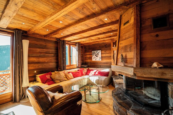 Télévision, cheminée, lecteur de DVD