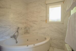 Shower, hair dryer, towels, toilet paper