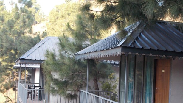 Two cabins with balconies, surrounded by pine trees. - Erica Hills Resort Kasauli (Solan)