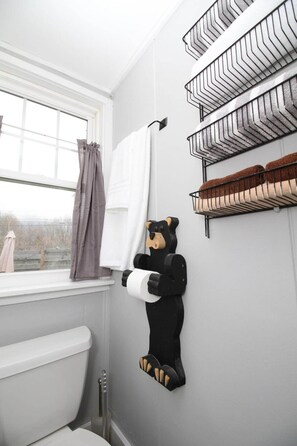 Ducha, secador de pelo y toallas