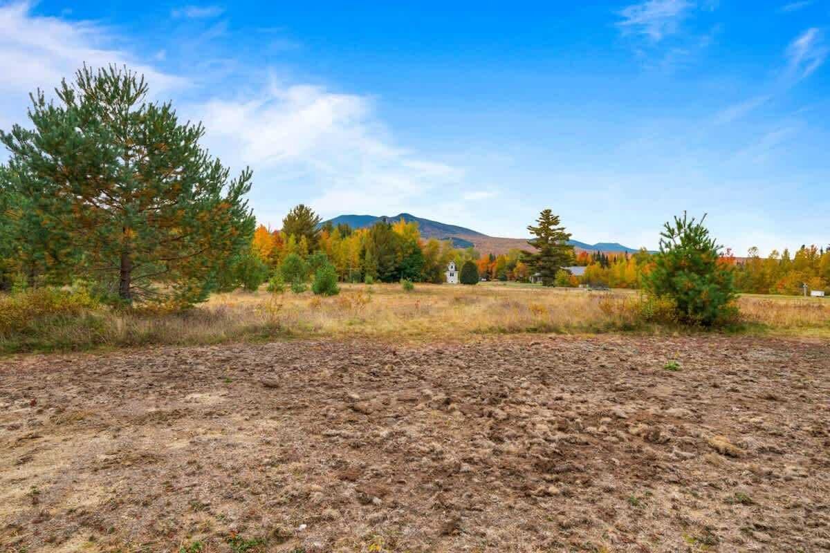 Um campo seco e aberto, com vegetação rasteira e algumas árvores, uma montanha ao longe, e um céu azul límpido.
