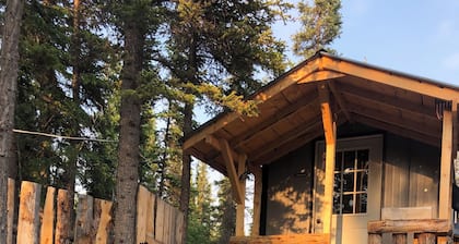 Kenny Lake Cabin 25 miles from famous Copper River fish in Chitina! Pets ok!