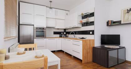 Działkowa Apartment Chorzów by Renters