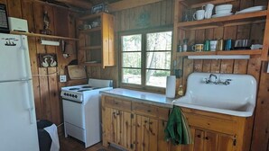 Une cuisine rustique dans un chalet, avec des murs en bois, un poêle, un réfrigérateur et un évier.