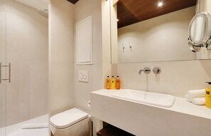 Shower, hair dryer