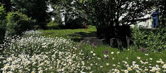 Oase für Familien und Geschäftsreisende Top-attraktionen in der Nähe