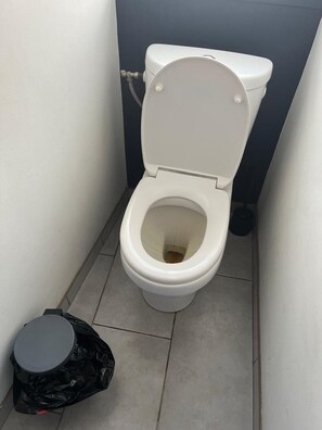 Hair dryer, towels, toilet paper