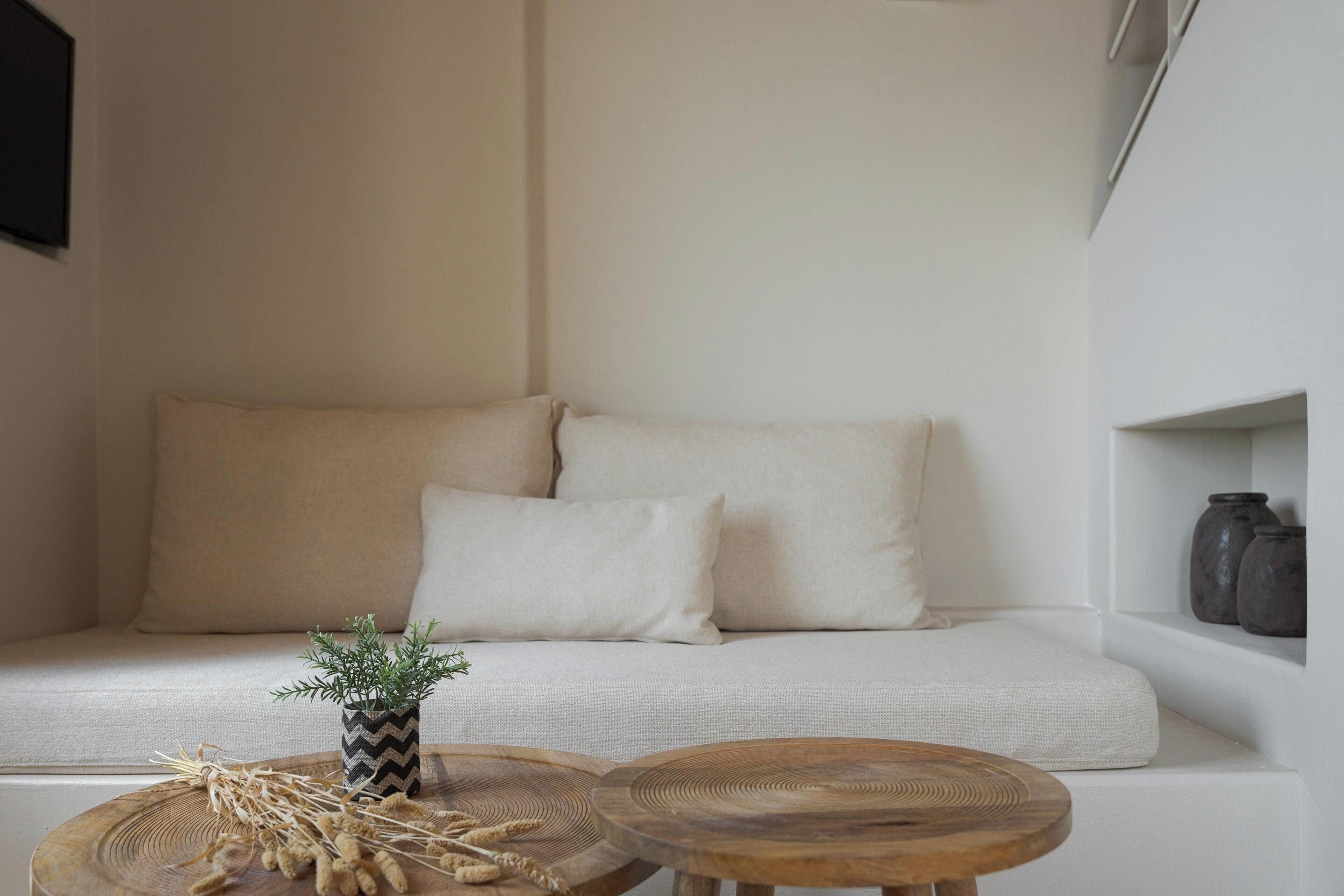 A minimalist living room with a sofa, two round wooden tables, and a small potted plant.