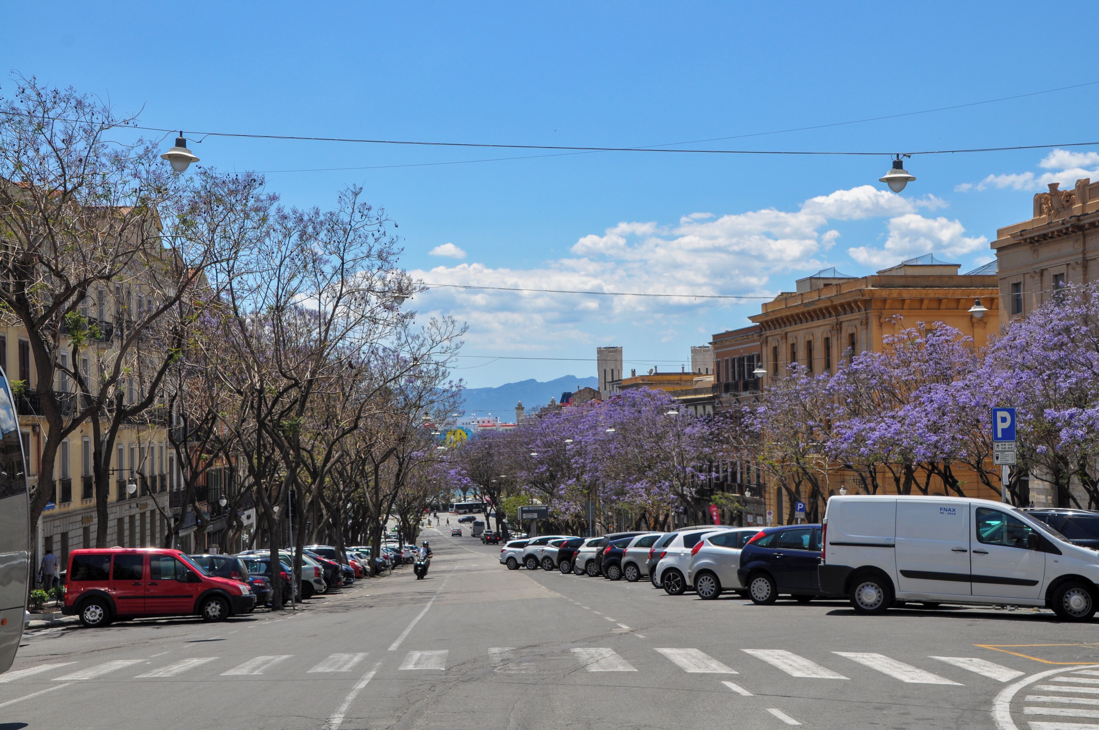 Photo - Eva Luxury Suite