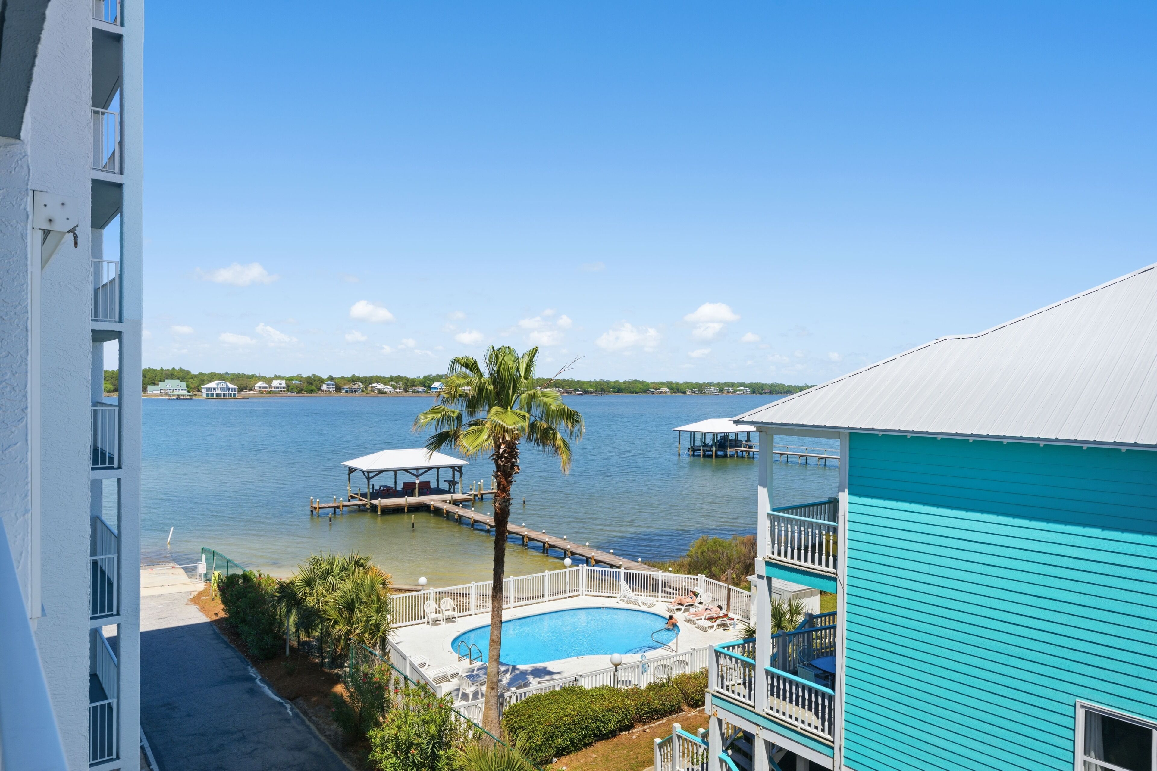 A pool area with a view of the water, a palm tree, and a dock.