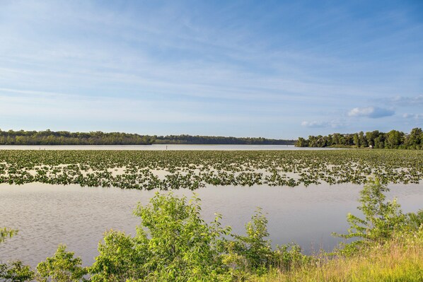 Casa (5 Bedrooms) | Interior