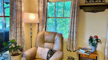 Smart TV, fireplace, video games, books