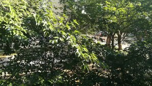 Apart Daire (Friendly Well Located Family Apartmen) | Dış mekân