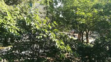 Apartment (Friendly Well Located Family Apartmen) | Exterior