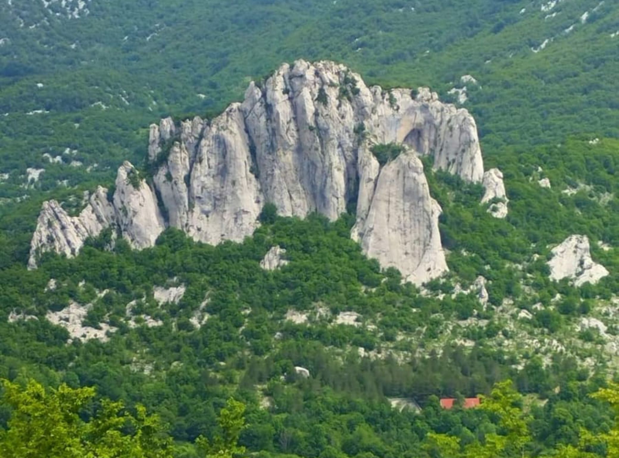 Un paisaje montañoso con un pico rocoso destacado y un bosque verde denso.