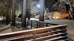 A snow-covered park with benches and trees, a lit street, and a building in the background.