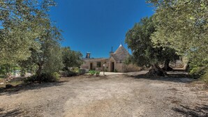 Un bâtiment rustique à la façade en pierre et au toit conique, entouré d’oliviers.