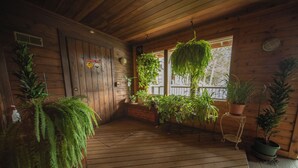 A wooden cabin interior with a wooden floor, hanging plants, and a window with a view. - Summer Mountain Retreat | Bike Path & Hot Tub (Keystone)