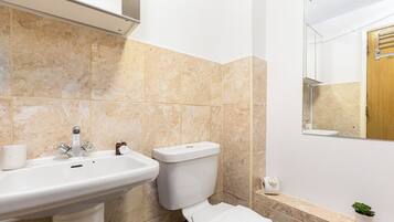 A bathroom with a sink, toilet, and mirror.
