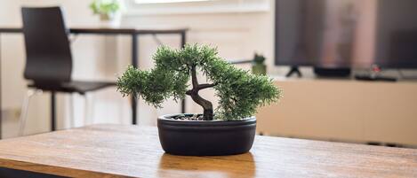 Deluxe Apartment, 1 Bedroom, Private Bathroom | Living area | Flat-screen TV