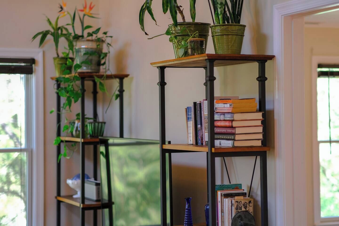 Two black metal shelves with plants and books.