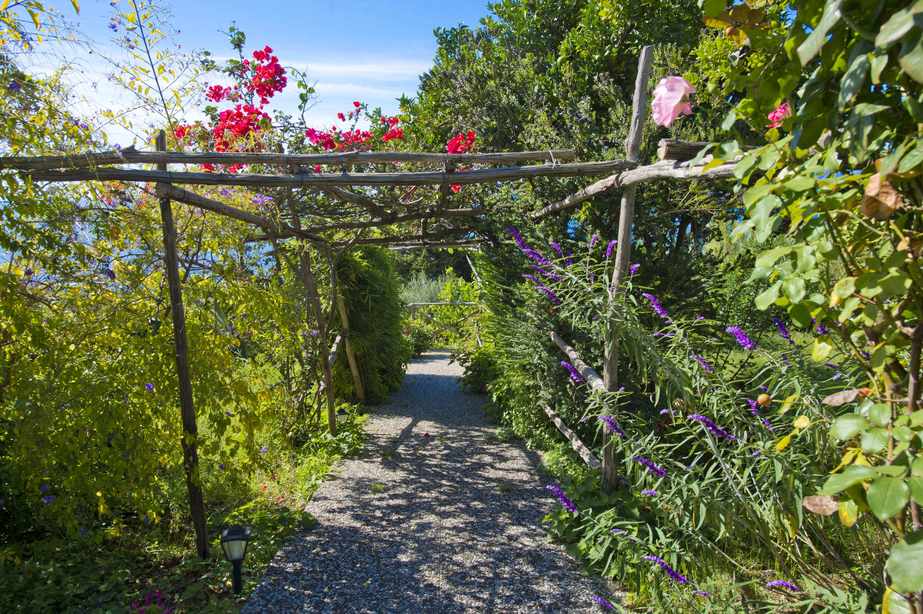Puinen pergola ja vehreä kasvillisuus koristavat puutarhapolun.