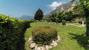 Ein gepflegter Garten mit einem Busch im Mittelpunkt, einem Weg und einem Gebäude mit Kuppel und Glockenturm im Hintergrund.