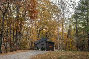 A small cabin with a dark roof and siding, surrounded by a forest with autumn-colored leaves. - 9 Acre Oasis with Private Hot Tub and Sauna just 4 miles to DT Asheville (Asheville)