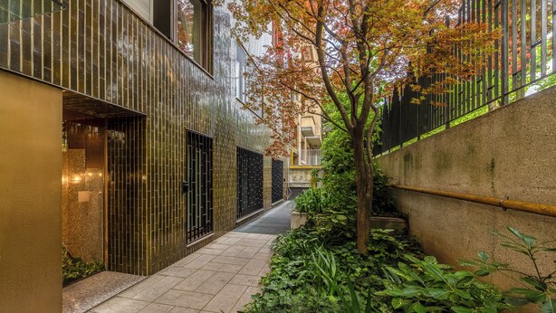 Une ruelle étroite, une clôture en métal, un arbre aux feuilles d’automne et un mur en béton.