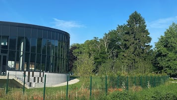 Esterni