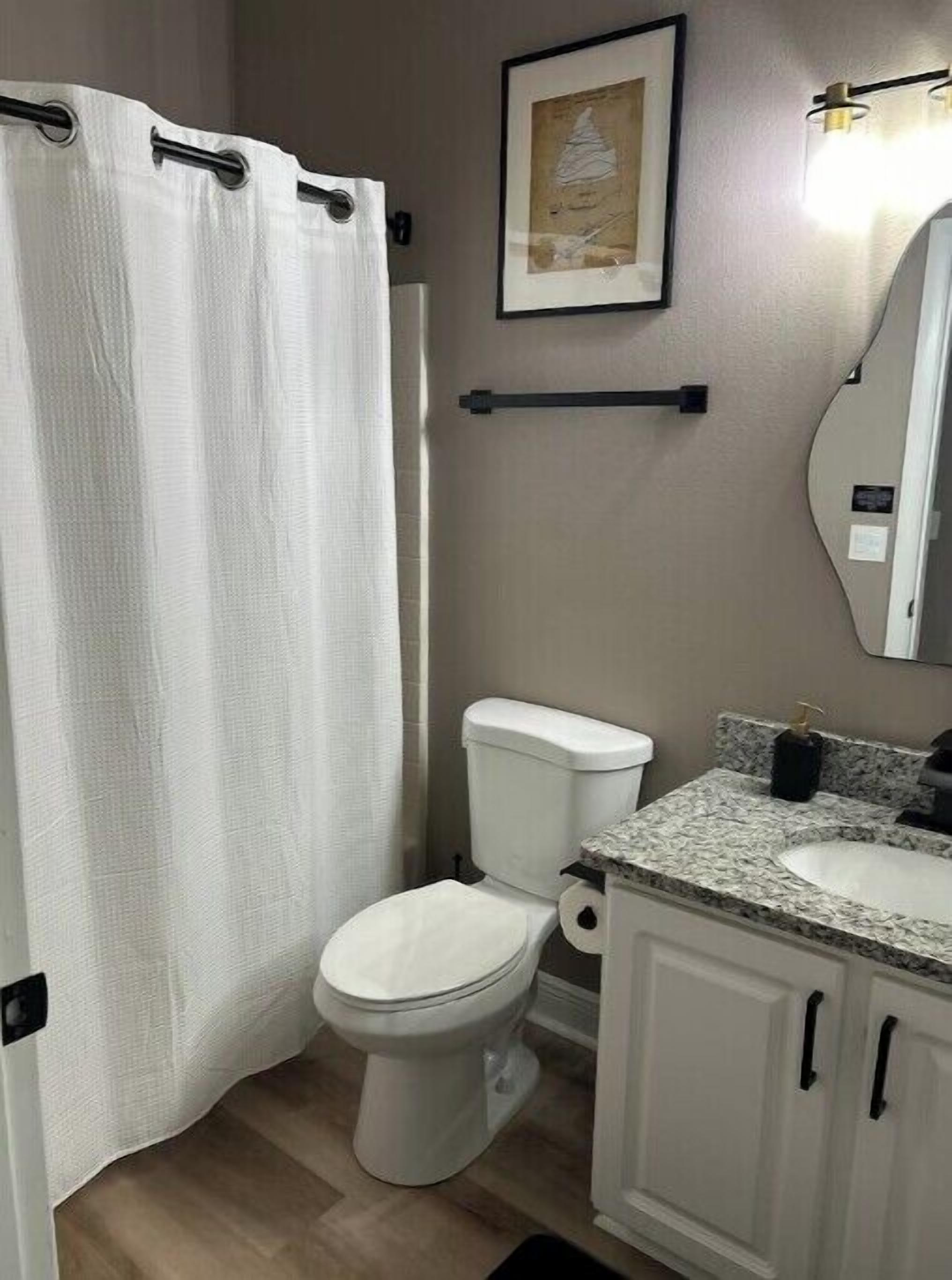 A bathroom with a white toilet, a shower curtain, a framed picture on the wall, and a granite countertop with a sink.