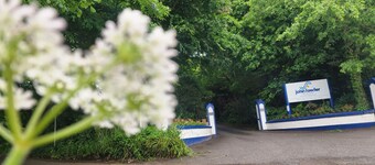 Hayle holiday cottage 