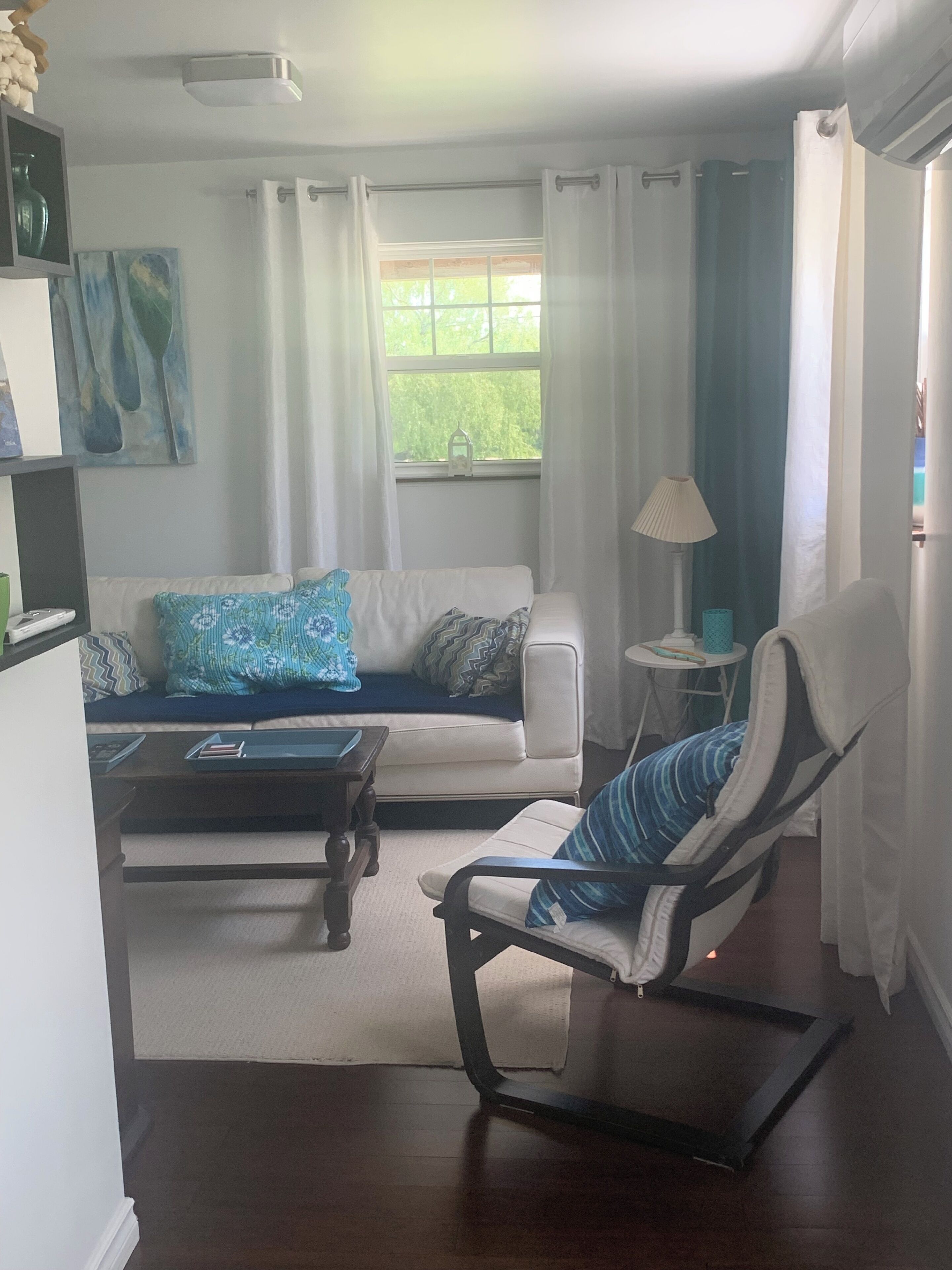 Smart TV, fireplace, DVD player, books