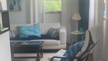 Smart TV, fireplace, DVD player, books