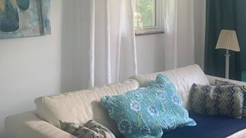 Smart TV, fireplace, DVD player, books