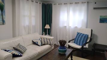 Smart TV, fireplace, DVD player, books