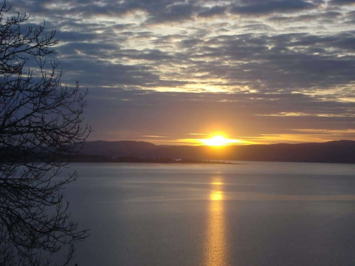 Un atardecer sobre una superficie de agua tranquila, con un árbol en primer plano.