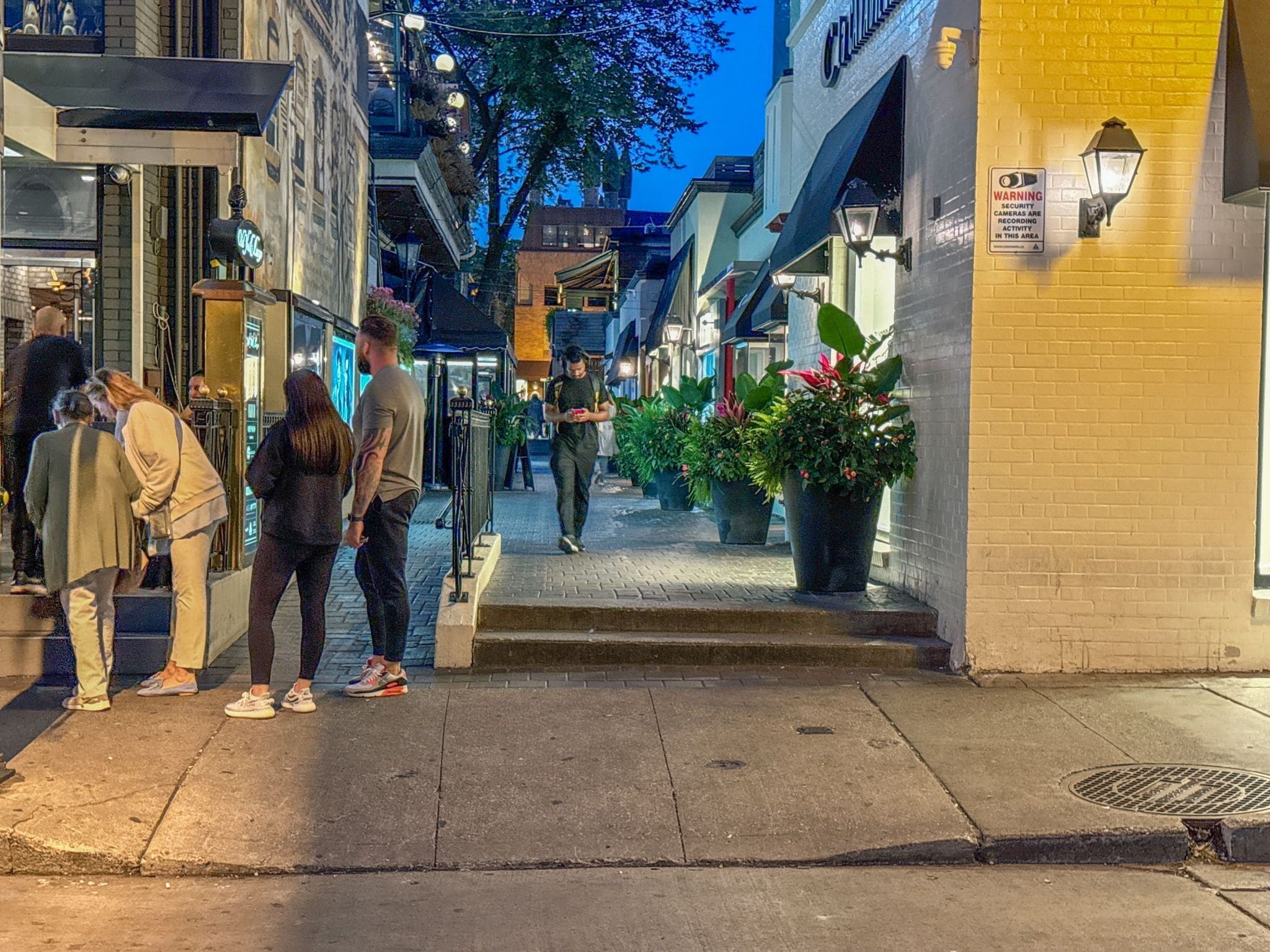 Una calle estrecha con comercios a ambos lados, una senda peatonal y macetas alineando el camino.