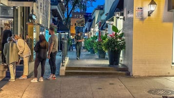 Una calle estrecha con comercios a ambos lados, una senda peatonal y macetas alineando el camino.