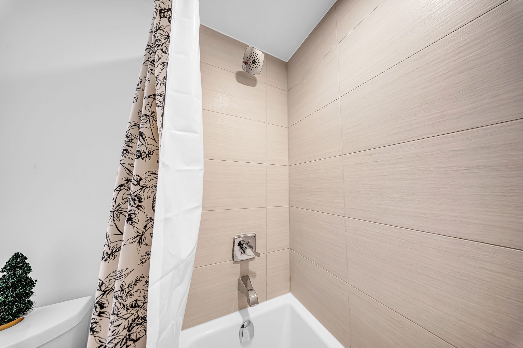 A modern bathroom with a shower, a toilet, and a small decorative tree.