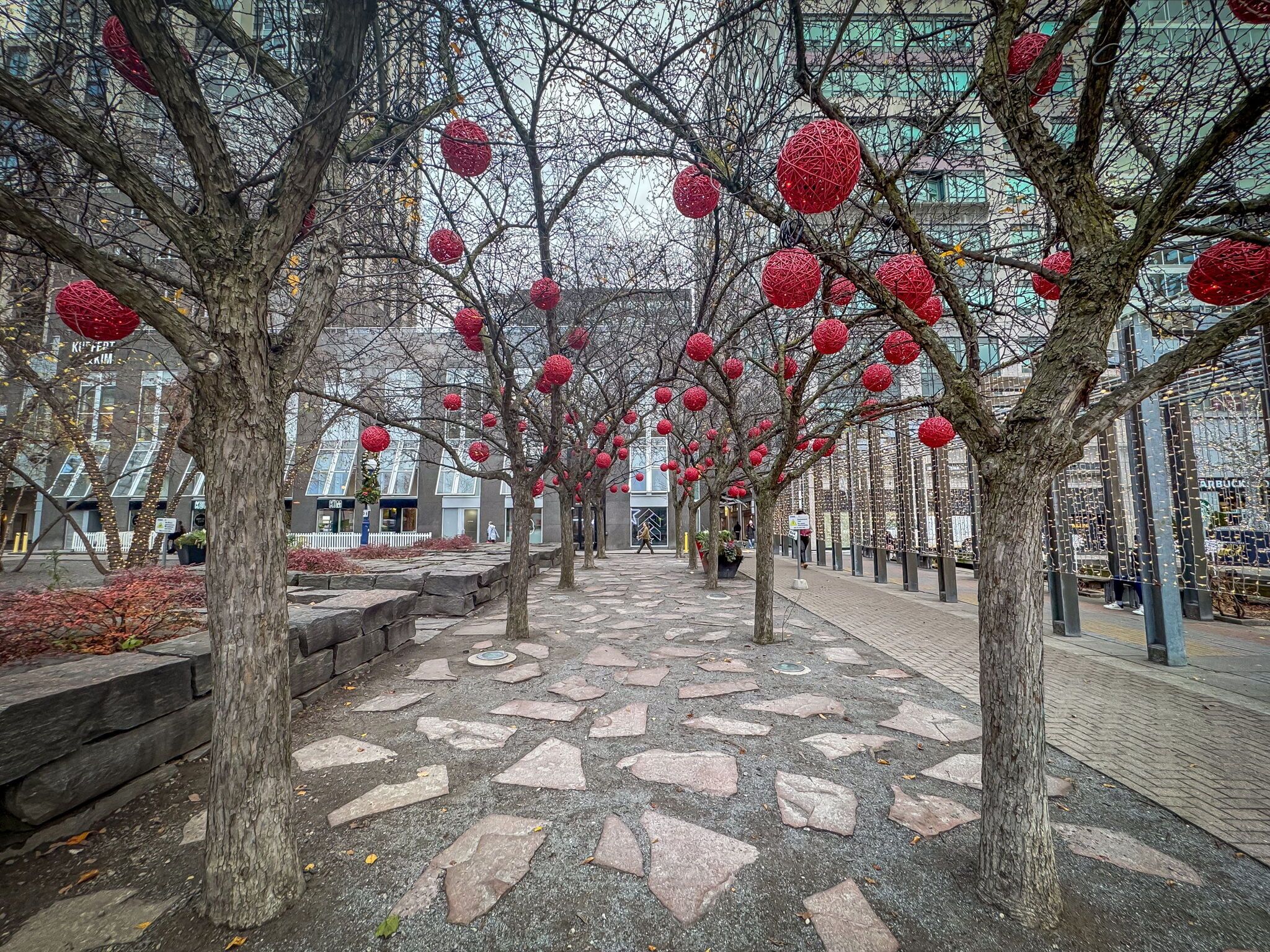 Un sendero bordeado de árboles decorados con adornos esféricos rojos, que conduce a un edificio con amplias ventanas y suelo de losas de piedra.