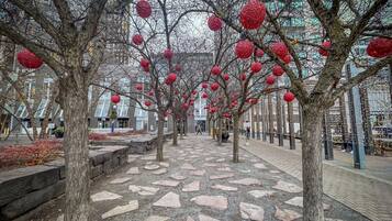 Un sendero bordeado de árboles decorados con adornos esféricos rojos, que conduce a un edificio con amplias ventanas y suelo de losas de piedra.