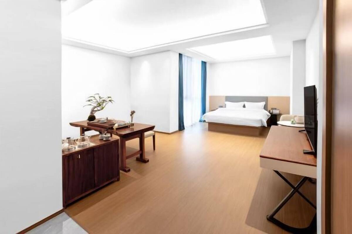 Hotellihuone, jossa on sänky, työpöytä, televisio ja pieni pöytä, jonka päällä on kasvi.